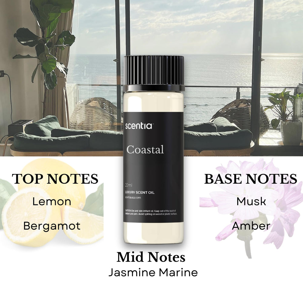Gift-ready Scentia hotel diffuser gift set box