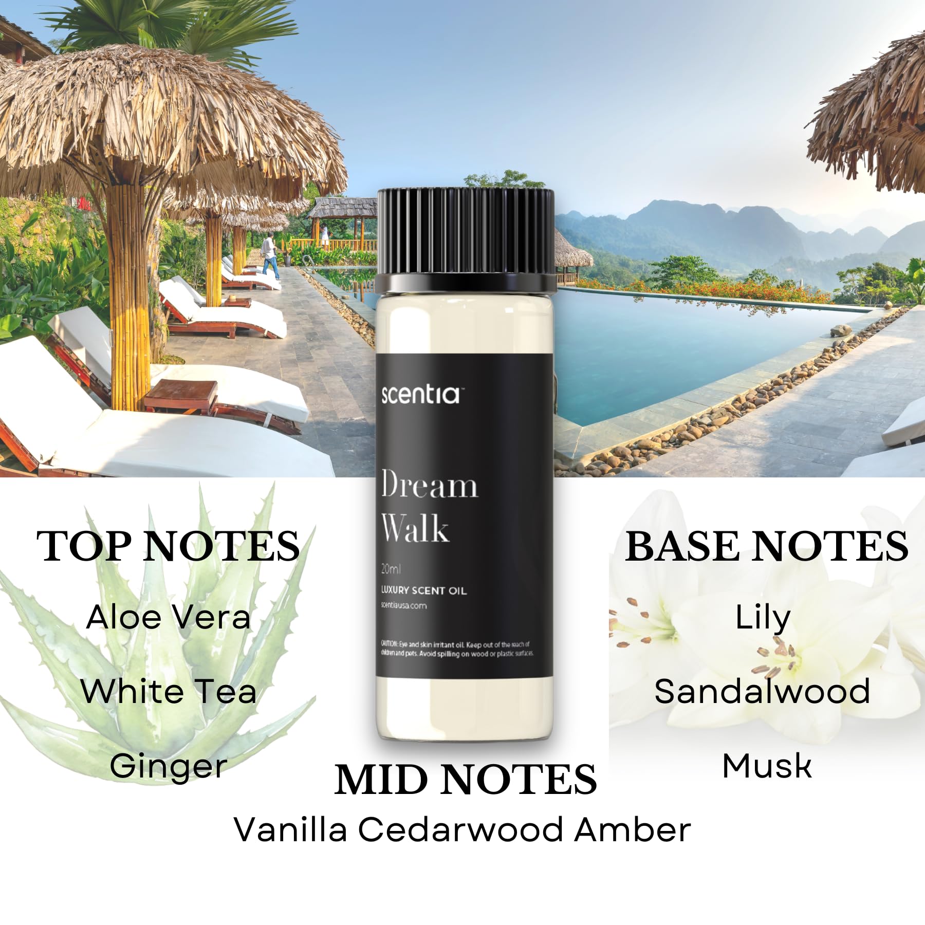 Close-up of diffuser oil bottle label and wooden cap