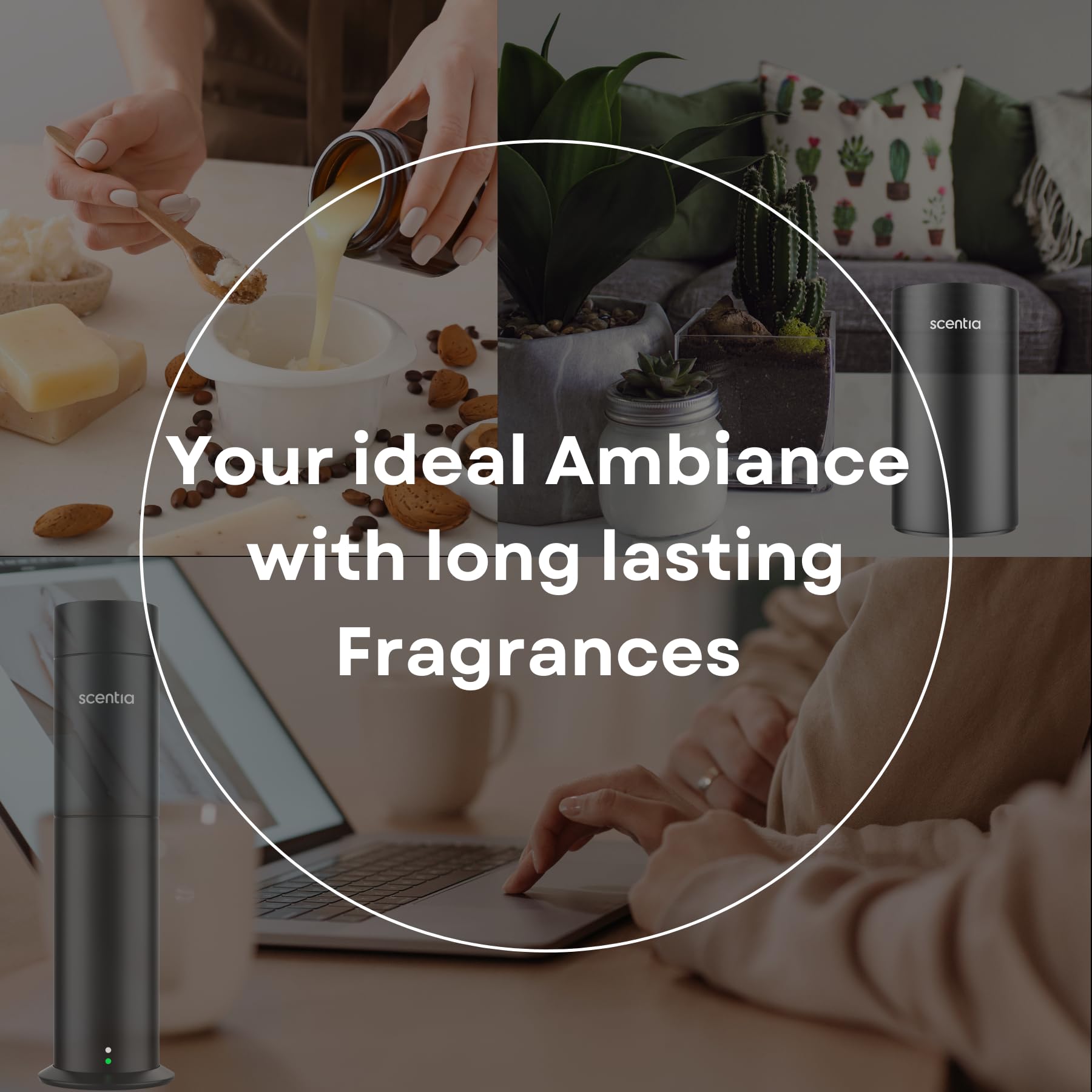 Aromas diffusion notes visualized for W Bliss fragrance oil