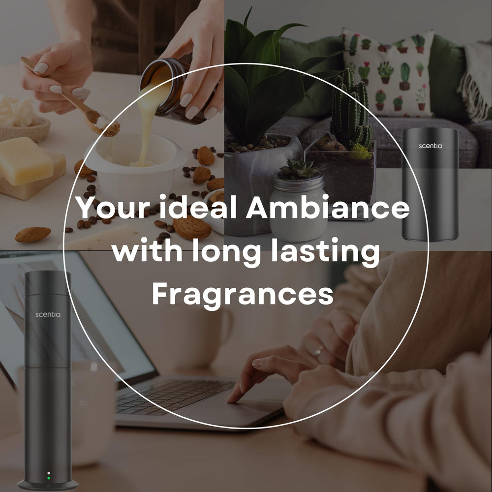 Aromas diffusion notes visualized for W Bliss fragrance oil