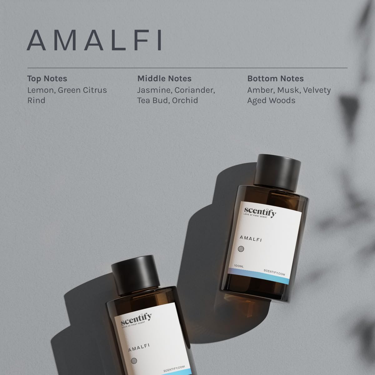 Jasmine, orchid and citrus notes visual concept for Amalfi oil