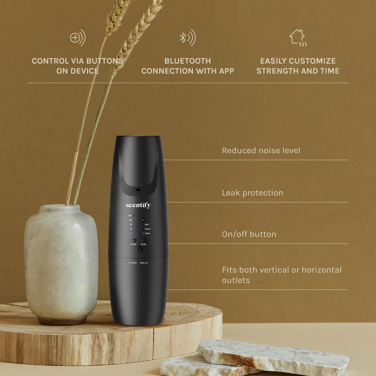 Diffuser with empty 100ml bottle