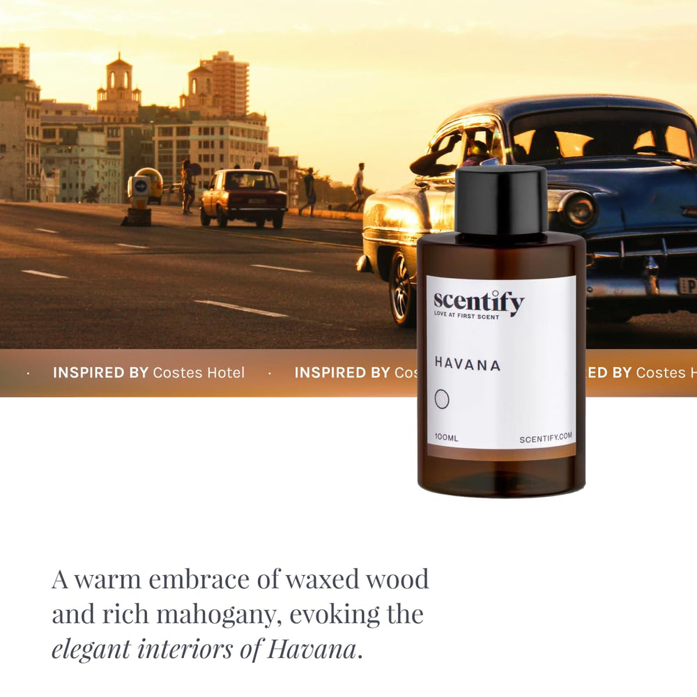 Scentify Havana aroma oil packaging beside amber bottle