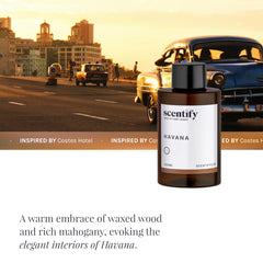 Scentify Havana aroma oil packaging beside amber bottle