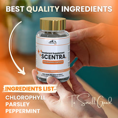 Concept image of all-day freshness with Scentra