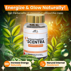 Label showcasing clean ingredients of Scentra