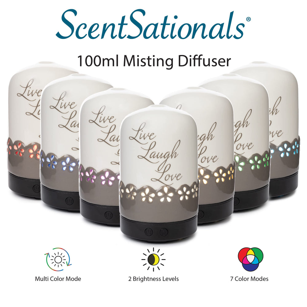 ScentSationals Sentiments diffuser oil-pour supports scented oils to customize mood and scent.