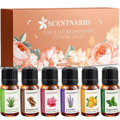 SCENTNARIO essential oils set lavender bottle close-up for relaxation and mood support.