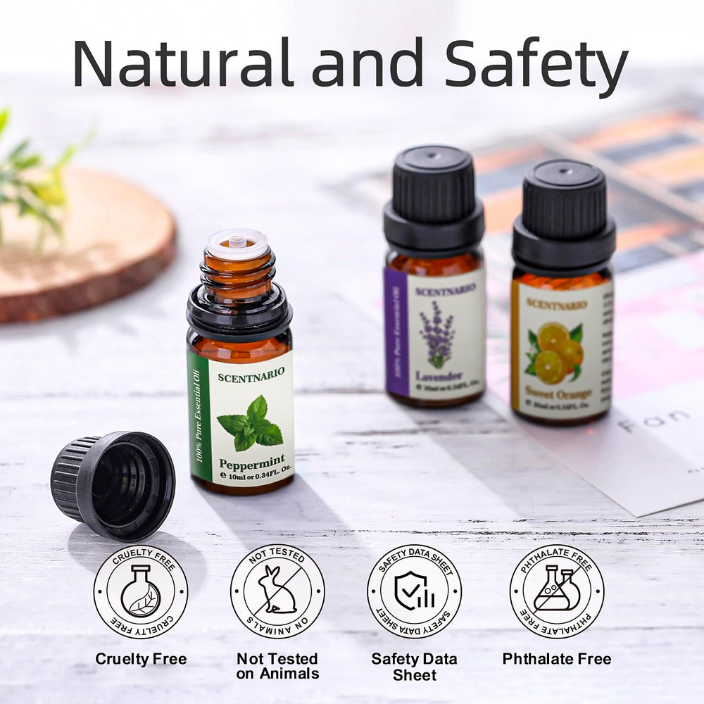 SCENTNARIO essential oils set lemongrass bundle with leaves ideal for refreshing energy.