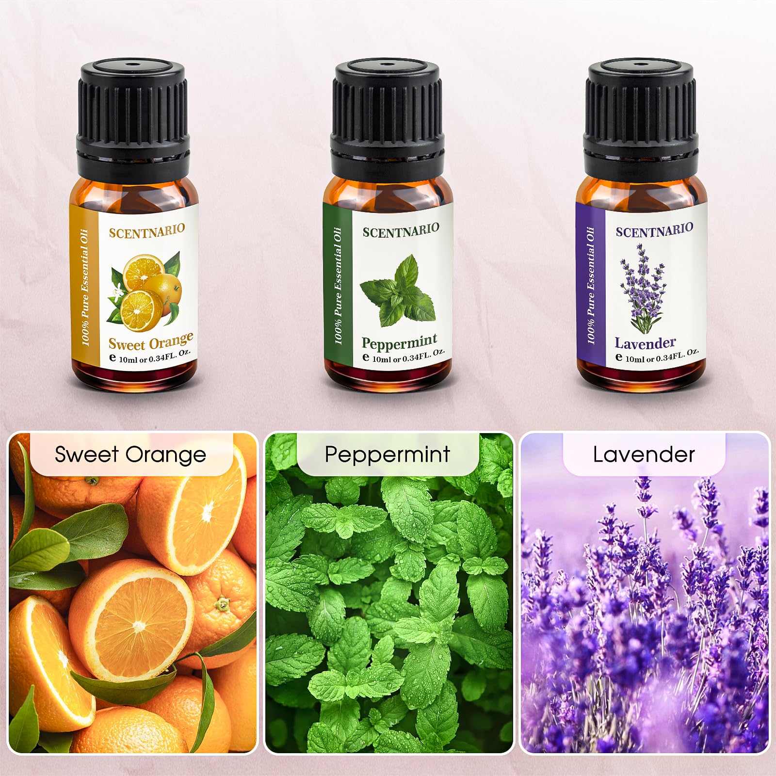 SCENTNARIO essential oils set peppermint vial in use for focus and clarity.