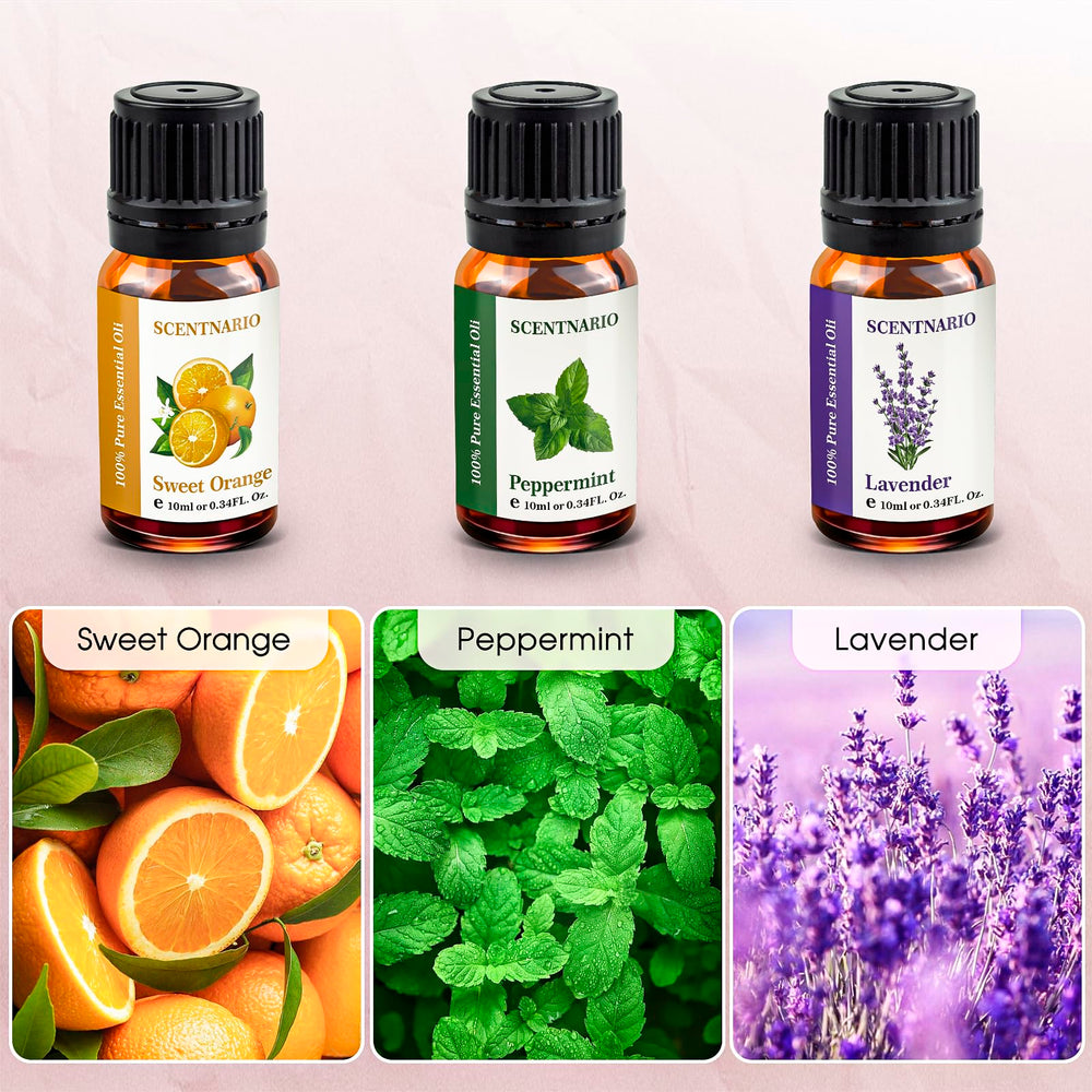 SCENTNARIO essential oils set peppermint vial in use for focus and clarity.