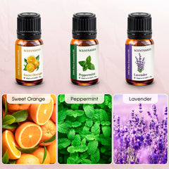 SCENTNARIO essential oils set peppermint vial in use for focus and clarity.