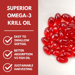 Omega-3 phospholipid form illustration showing bioavailability
