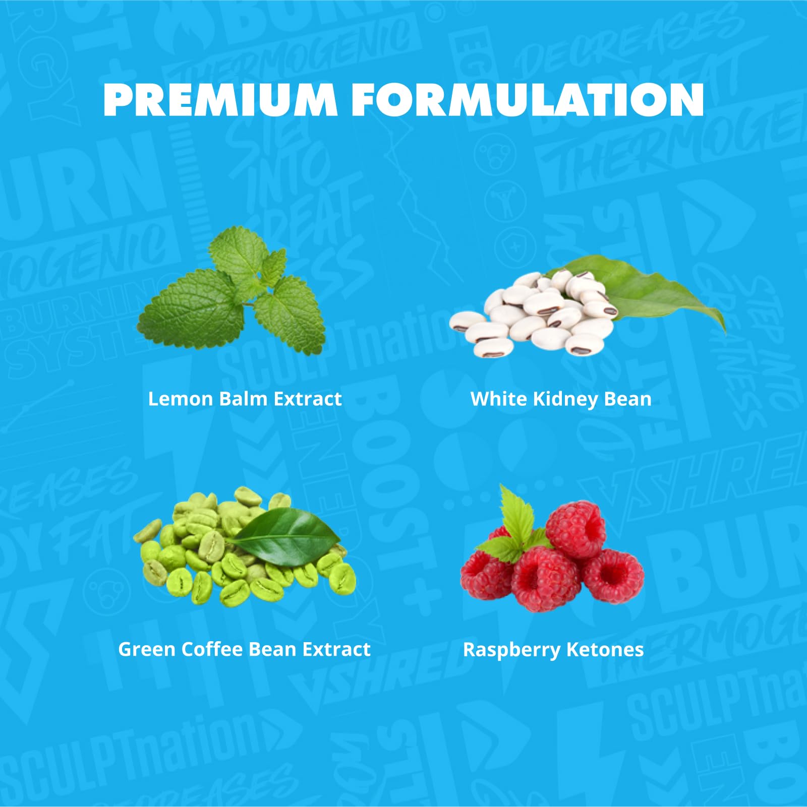 Sculpt Nation Burn PM ingredients panel featuring raspberry ketones and melatonin