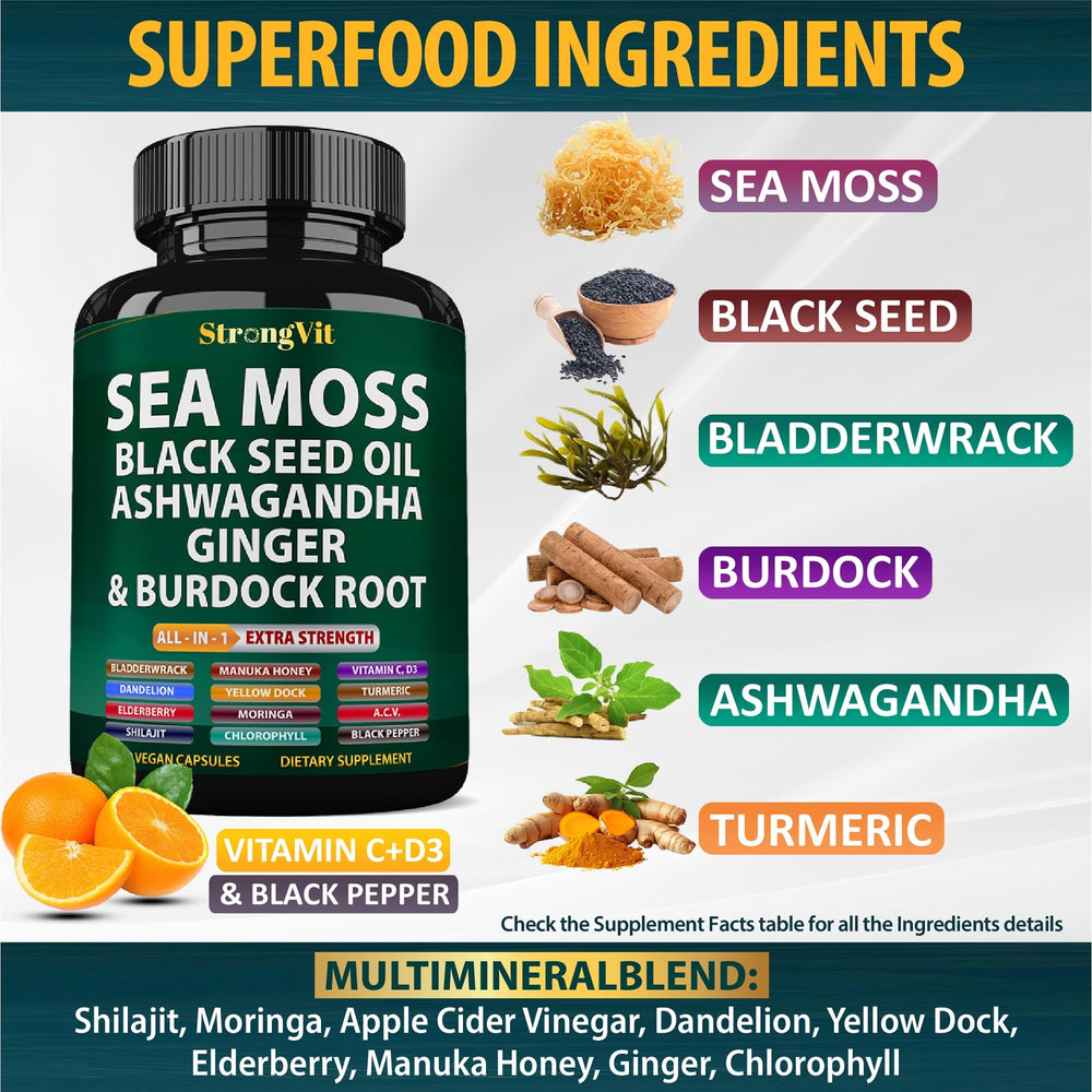 Sea moss with burdock root and bladderwrack ingredients illustration