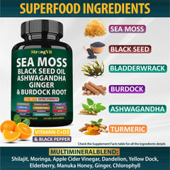 Sea moss with burdock root and bladderwrack ingredients illustration