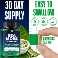 Burdock Root and Bladderwrack components in Sea Moss Capsules