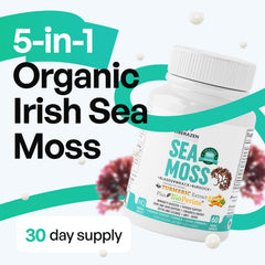 Close-up of sea moss capsules