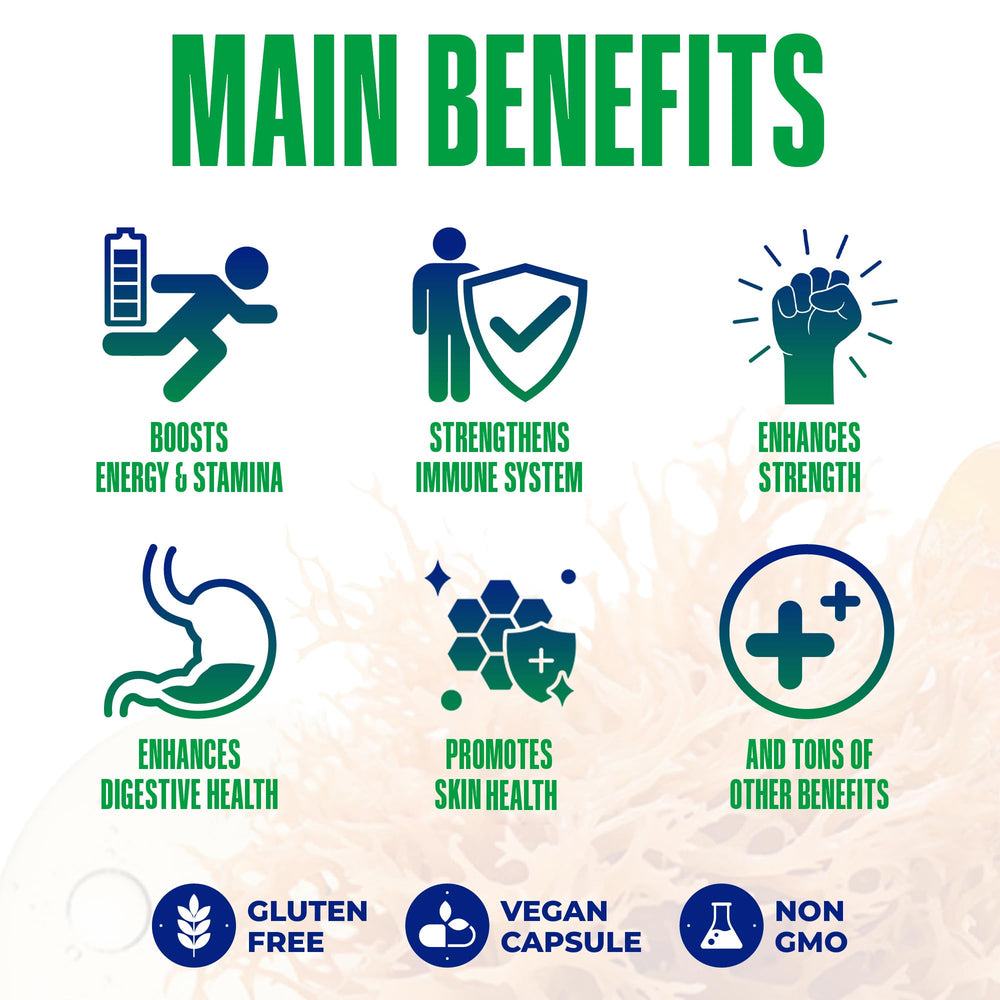 Ginger root and herbal components for Sea Moss Capsules