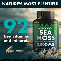 Close-up of Burdock Root and Bladderwrack in Sea Moss supplement