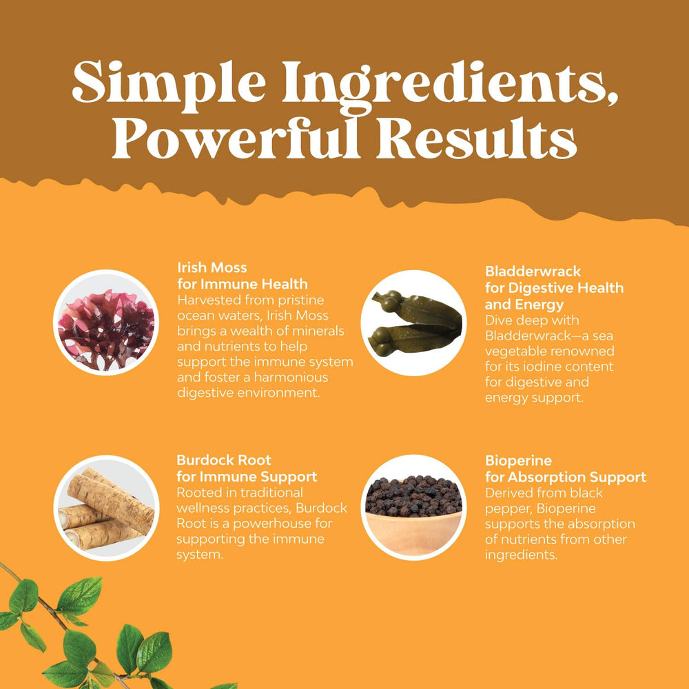 Nutrition-rich sea moss capsule detail