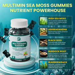 Sea Moss Gummies apple-flavor gummies