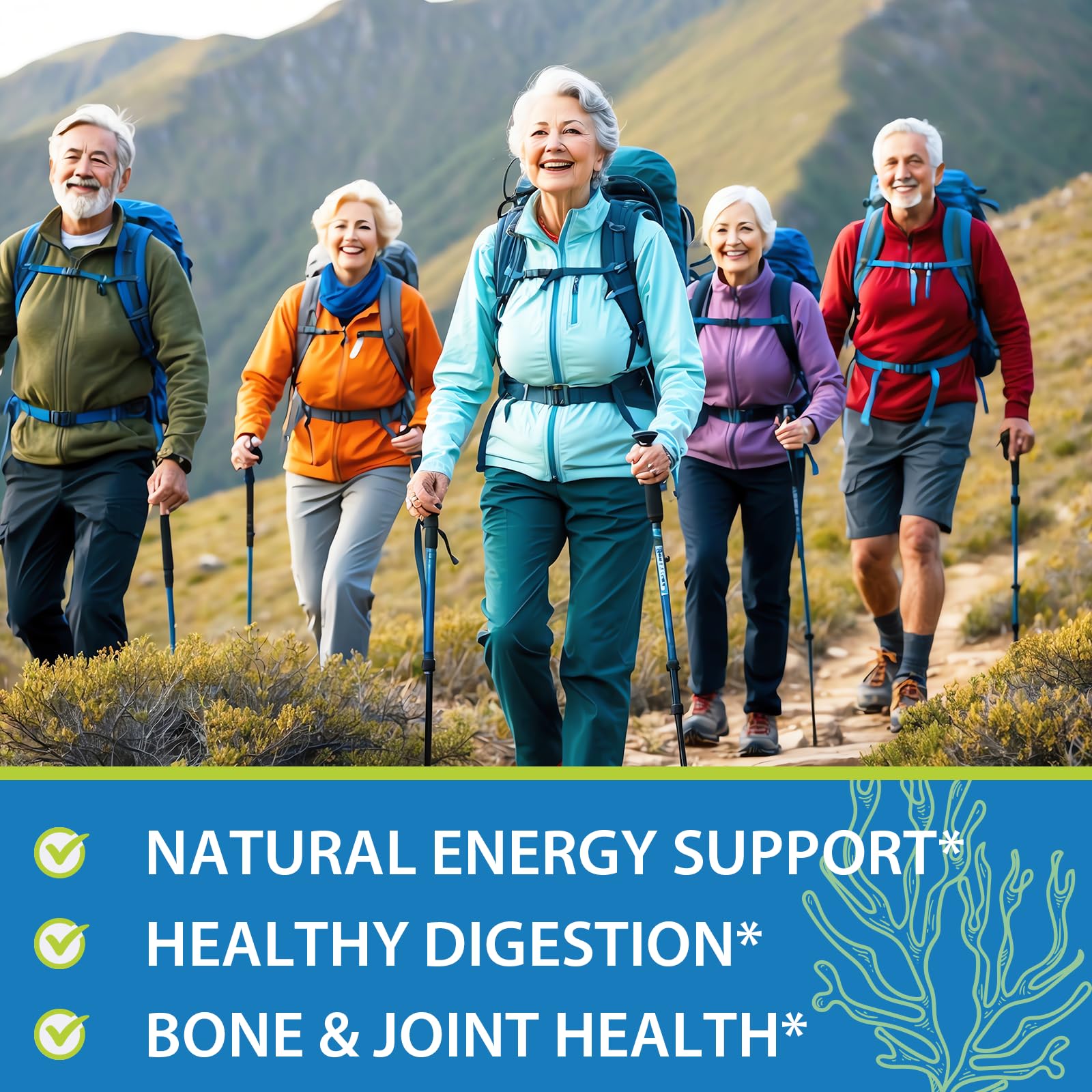 Recommended daily dosage of Sea Moss Gummies: 2 gummies