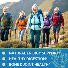 Recommended daily dosage of Sea Moss Gummies: 2 gummies