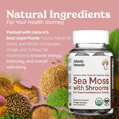 Sea Moss Gummies being used on-the-go