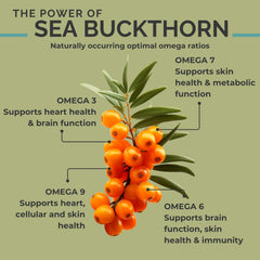 Organic sea buckthorn oil ingredients