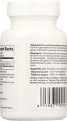 Olive leaves harvested on Seagate farm