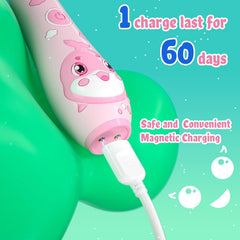 SEAGO pink replacement toothbrush heads pack