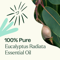 DIY seasonal congestion blend featuring Eucalyptus Radiata