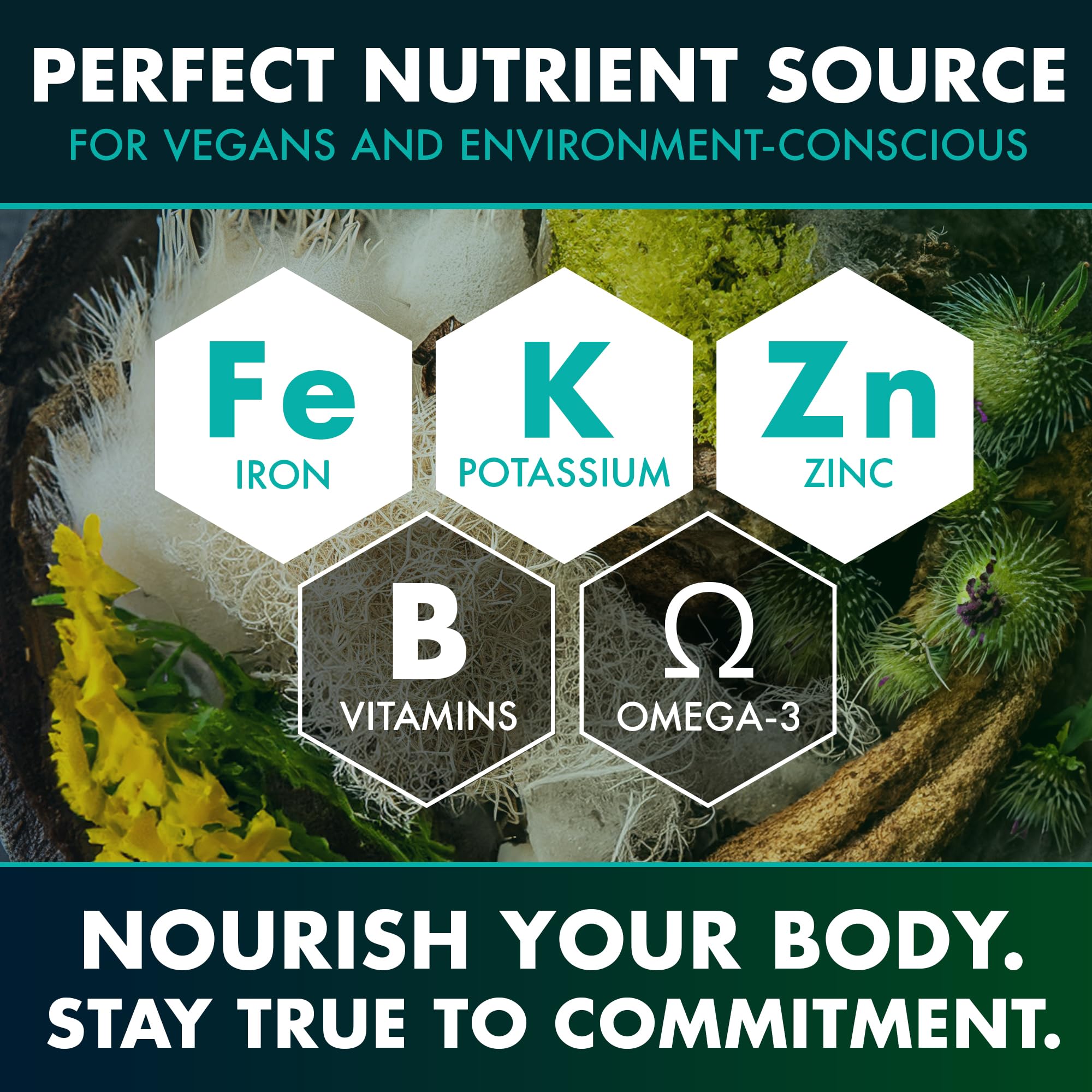 Secret Element 3-pack label close-up conveys value and convenience