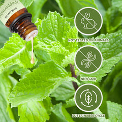 Amber glass bottles for essential oils (10 ml each) – pair