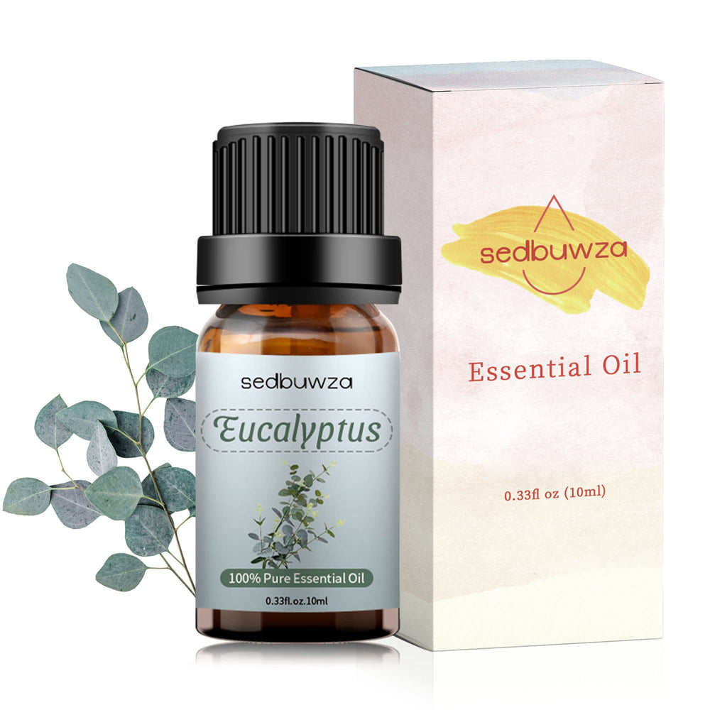 Fresh eucalyptus leaves and twigs source