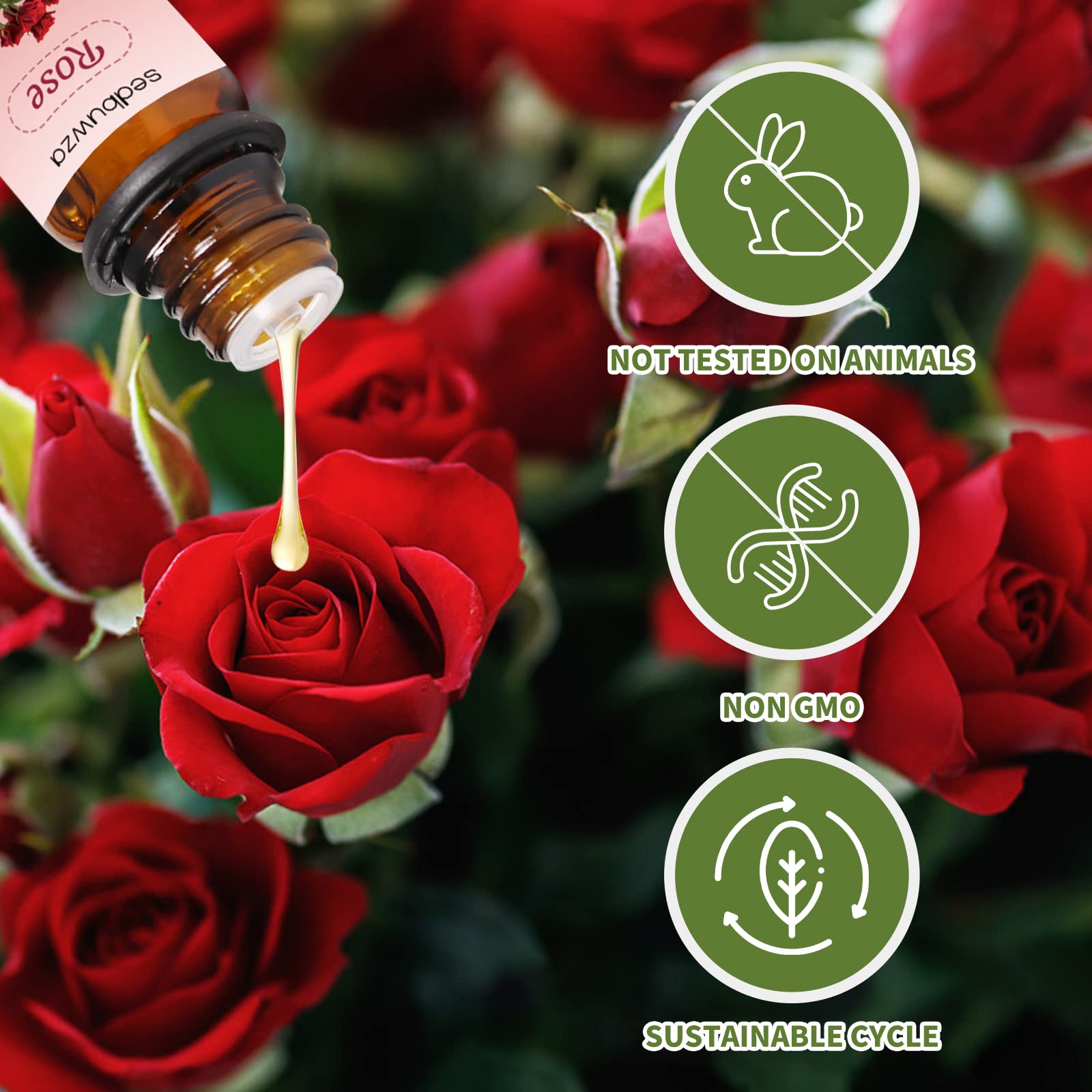 Close-up of Sandalwood essential oil bottle