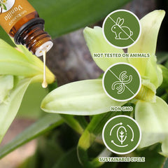 Vanilla essential oil set amber bottles close-up
