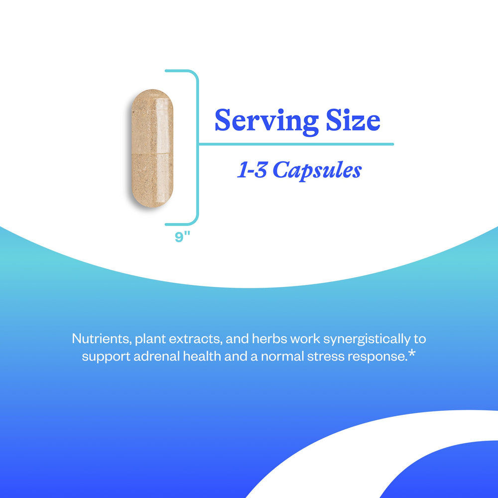 Herbal adaptogens and mushroom blend concept