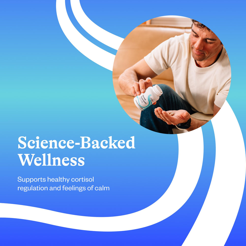 Adaptogenic herbs and mushrooms illustration