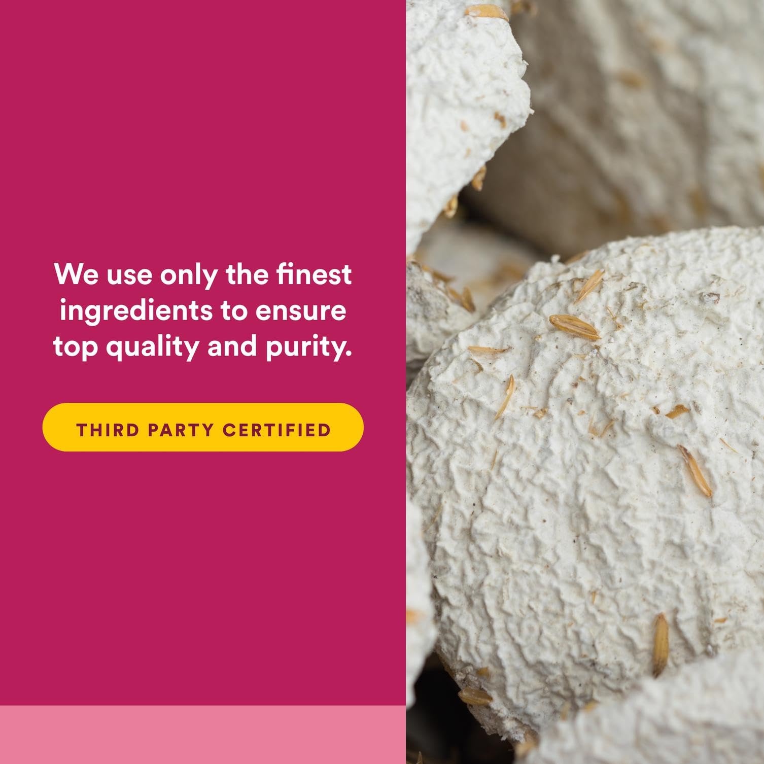 Organic farm related to selenium yeast production