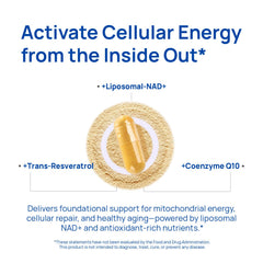 Trans-resveratrol antioxidant support