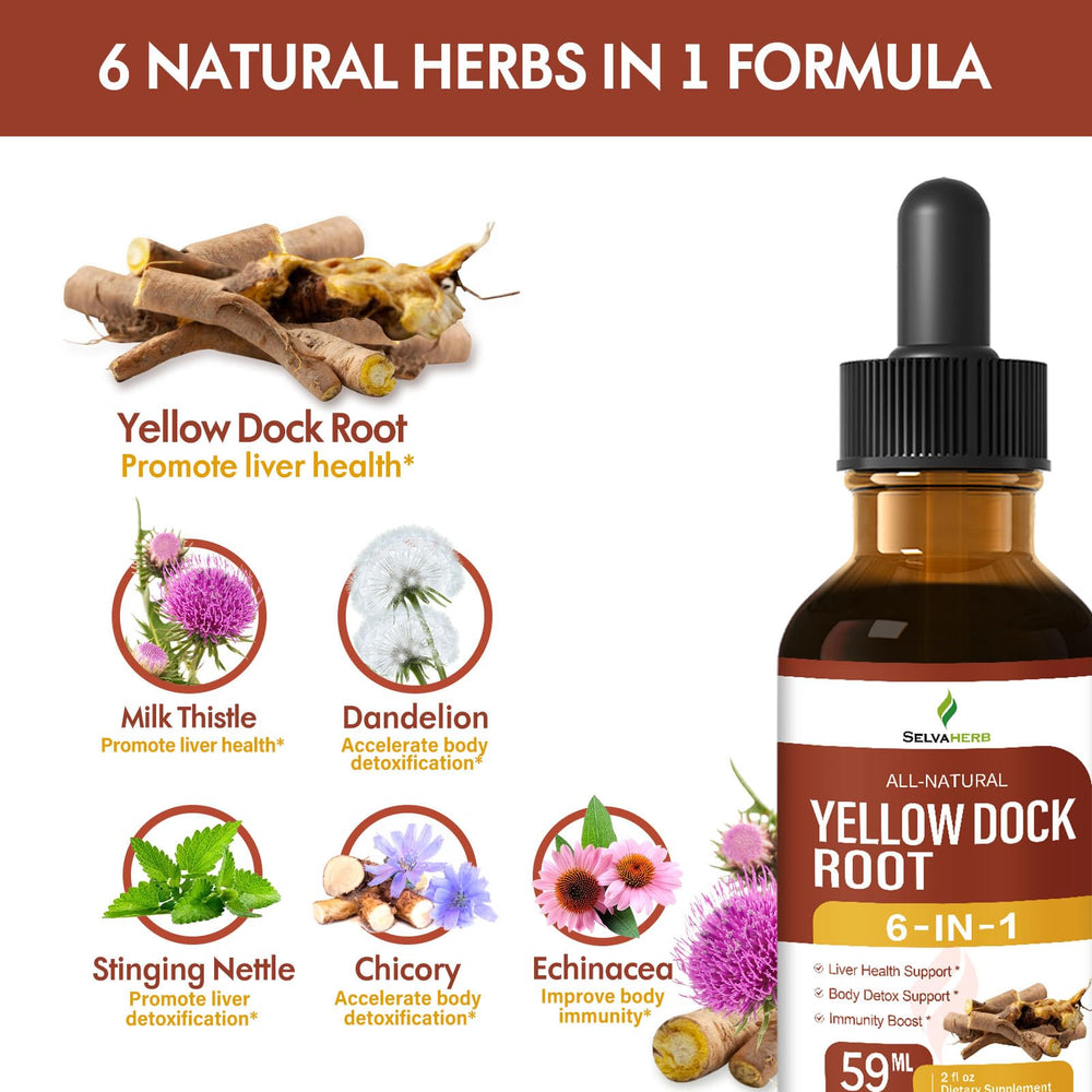 Immune support with Echinacea and Yellow Dock Root