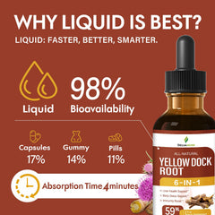 6-in-1 herbal tincture with Milk Thistle, Echinacea, and Yellow Dock Root