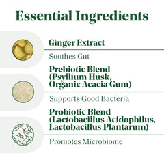 Ginger root illustrating digestion support