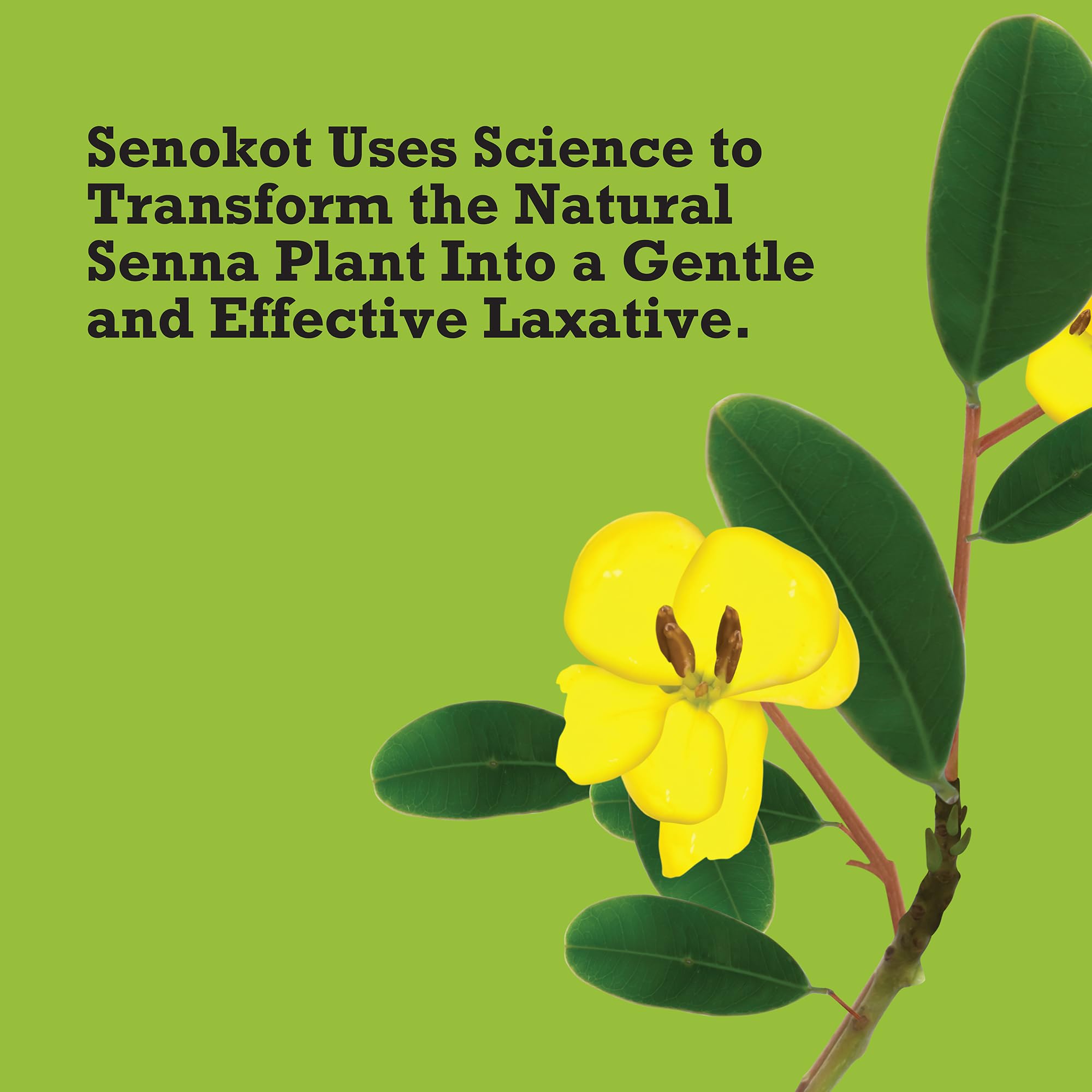 Senokot Regular Strength boxed product conveying trusted constipation relief option