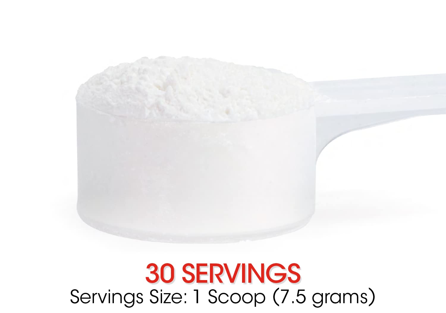 Scoop with powder showing 6g serving size