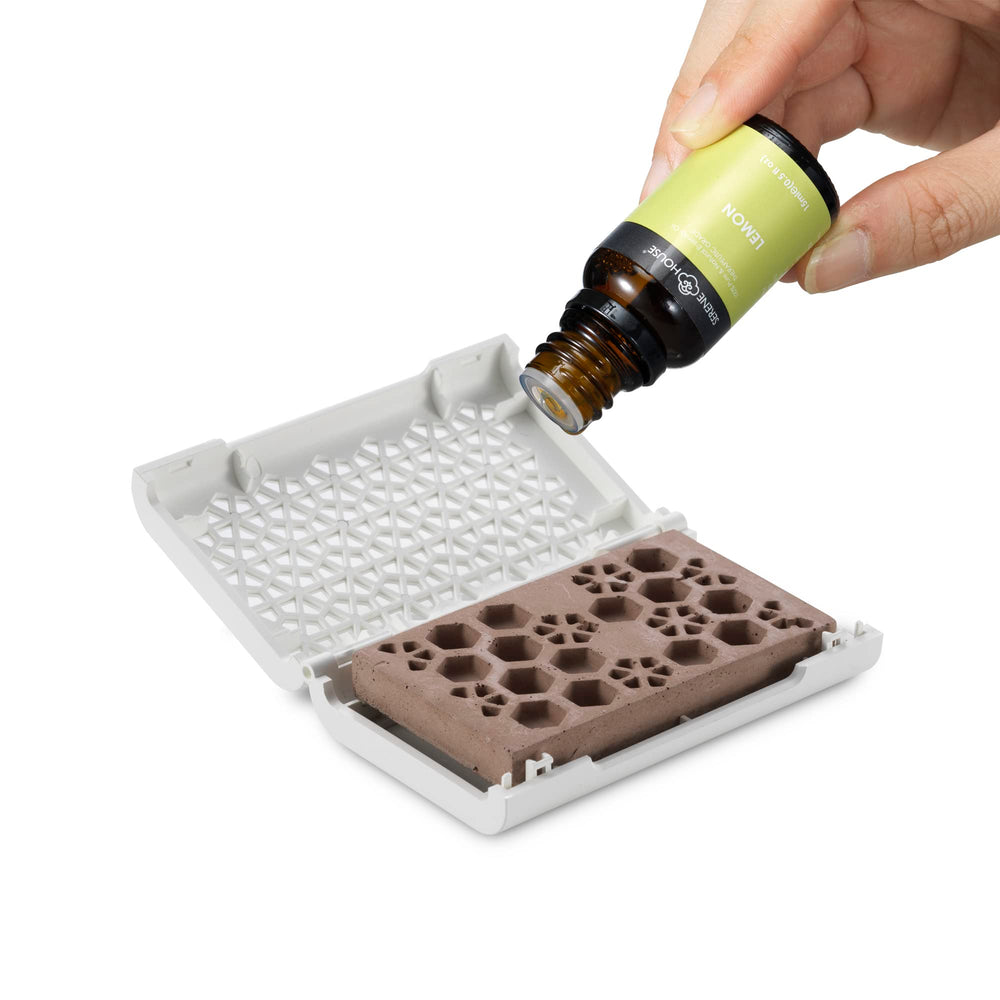 Puccini compact diffuser white highlights small-space aroma options.