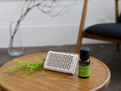 Serene House Puccini diffuser packaging or user guide in white