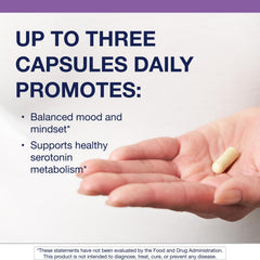 Graphic highlighting B vitamins in SeroSyn formula